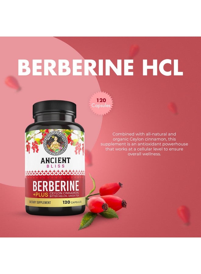 Ancient Bliss Berberine HCL 1200mg with Ceylon Cinnamon, Bitter Melon, and Green Tea Extract - 120 Capsules - Image 2