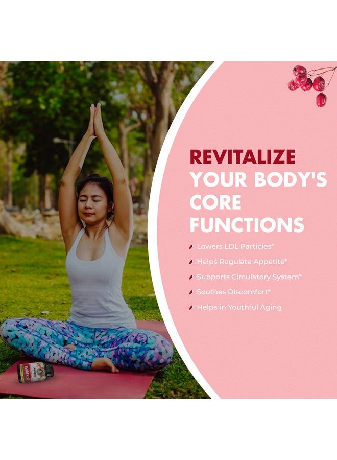 Ancient Bliss Berberine HCL 1200mg with Ceylon Cinnamon, Bitter Melon, and Green Tea Extract - 120 Capsules - Image 4