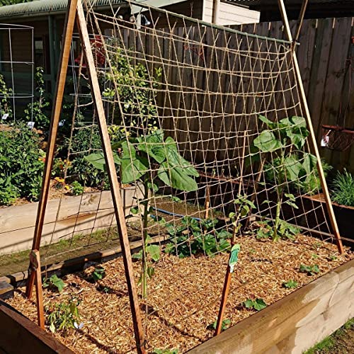 Miuezuth Jute Trellis Netting - Jute Netting for Garden, Heavy Duty Plant Support Netting for Climbing Plants, Cucumber, Vine, Fruits & Vegetables, Climbing Vining Plants (6.6 Ft x 9.8 Ft, 3.9 Inch Squares) - Image 5
