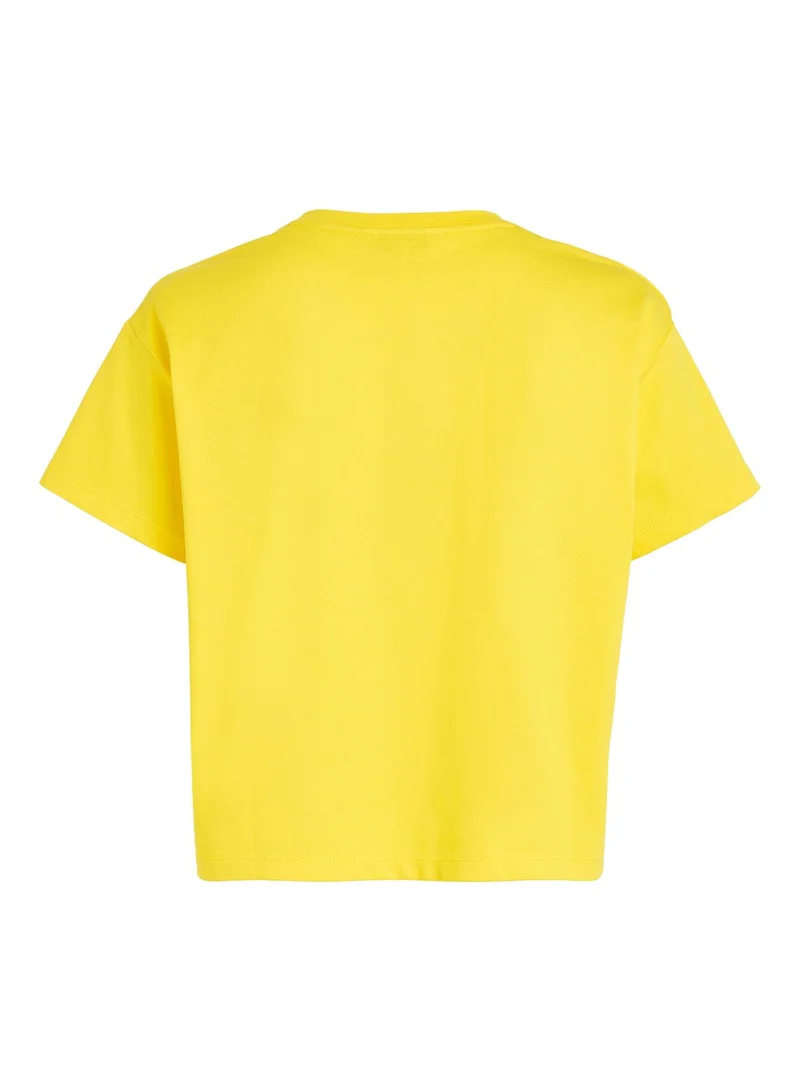 TOMMY HILFIGER Round Neck T-Shirt