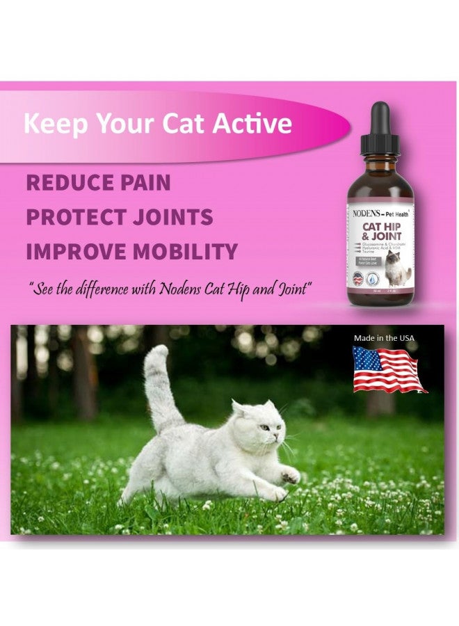 NODENS - Pet Health NODENS CAT Hip and Joint Glucosamine for Cats with Chondroitin - Cat Pain Relief from Inflammation - Cat Joint Supplement for Improved Joint Flexibility - Natural Liquid cat Health Supplies 59ml  - Image 1