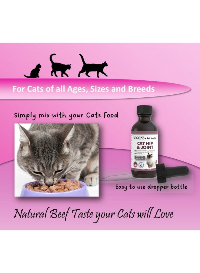 NODENS - Pet Health NODENS CAT Hip and Joint Glucosamine for Cats with Chondroitin - Cat Pain Relief from Inflammation - Cat Joint Supplement for Improved Joint Flexibility - Natural Liquid cat Health Supplies 59ml  - Image 3
