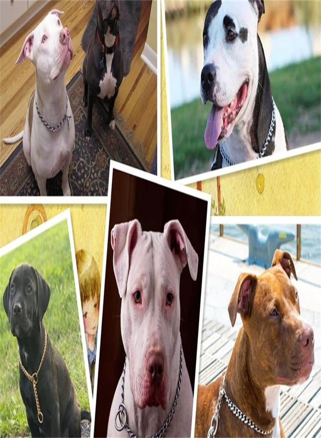 TELEYI Silver Dog Collar Chain,SUS304 Stainless Steel Metal Slip Link Martingale Dog Collars Chain Training Heavy Duty Dogs Choke Collars Puppy Collars for XXS XS Small Medium Large Big Breed Pet,S - Image 3