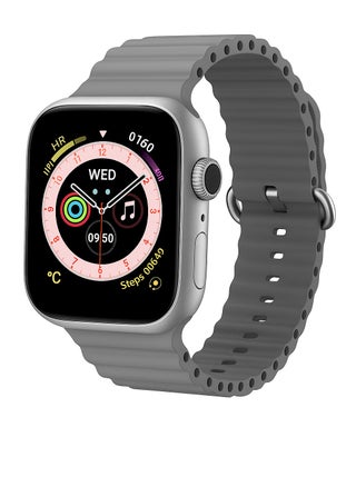 (Silver Dial & Gray Strap)