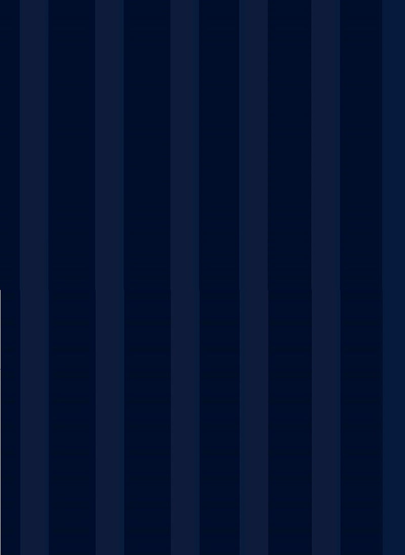 Blueberry 2 Piece Premium Quality Striped Bed Sheet Sets 100% Cotton  Set Deep Pocket 90x190 15cm - Image 3