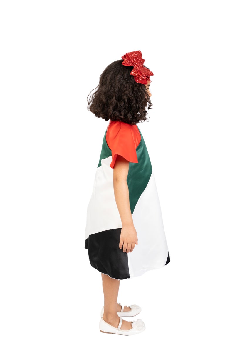 D'Daniela UAE National Day Flag Dress - Image 2