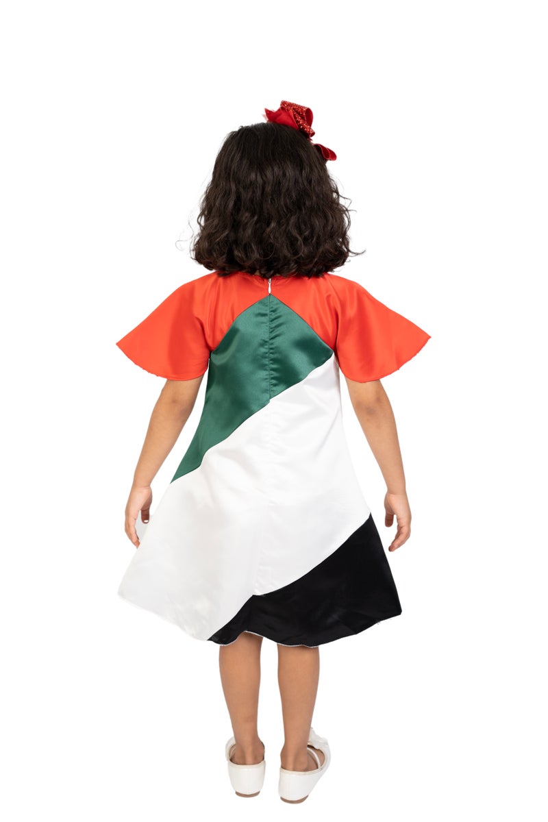 D'Daniela UAE National Day Flag Dress - Image 4