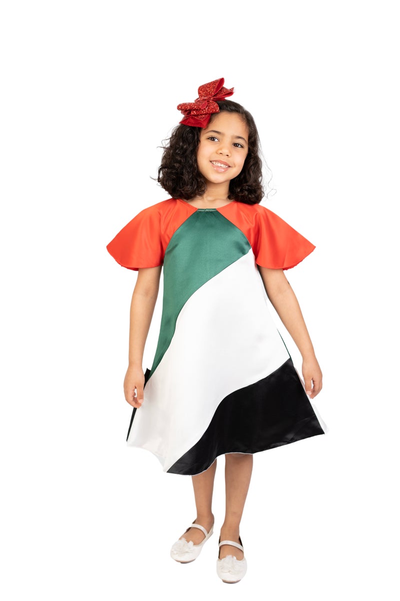D'Daniela UAE National Day Flag Dress - Image 1