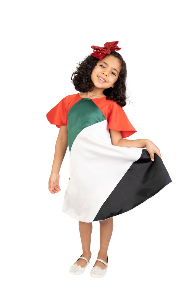D'Daniela UAE National Day Flag Dress - Image 3