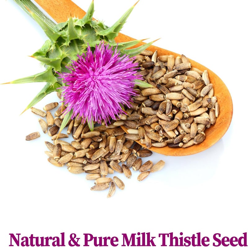 FullChea أكياس شاي حليب الشوك 100% طبيعي من فول تشيا - 40 قطعة، شاي أعشاب خالي من الكافيين - Image 3