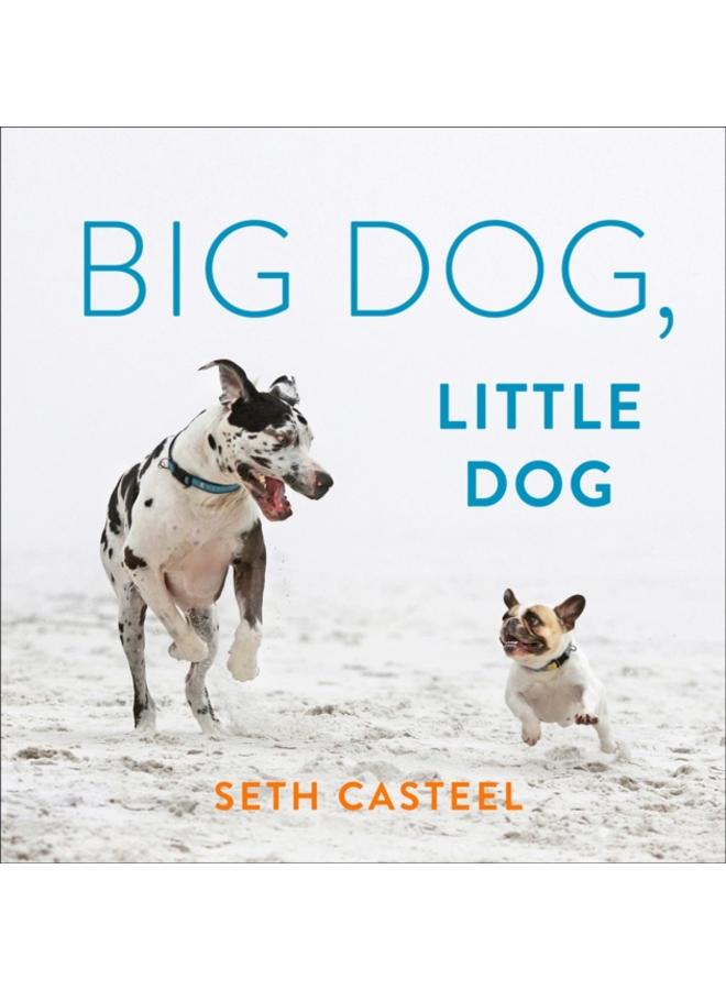 Big Dog, Little Dog 