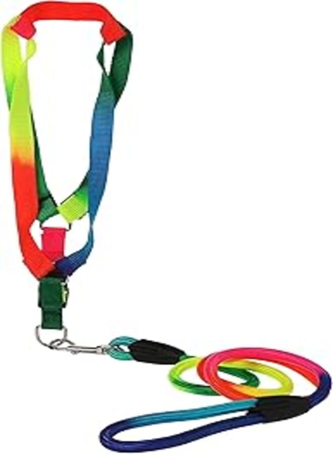 OR Collars, harnesses & leashes for dogs