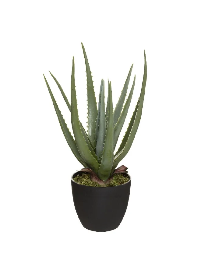 atmosphera Real Touch Easy Maintenance Realistic Looking Artificial Aloe Vera Plant with Pot Green and Black 44 cm 173017