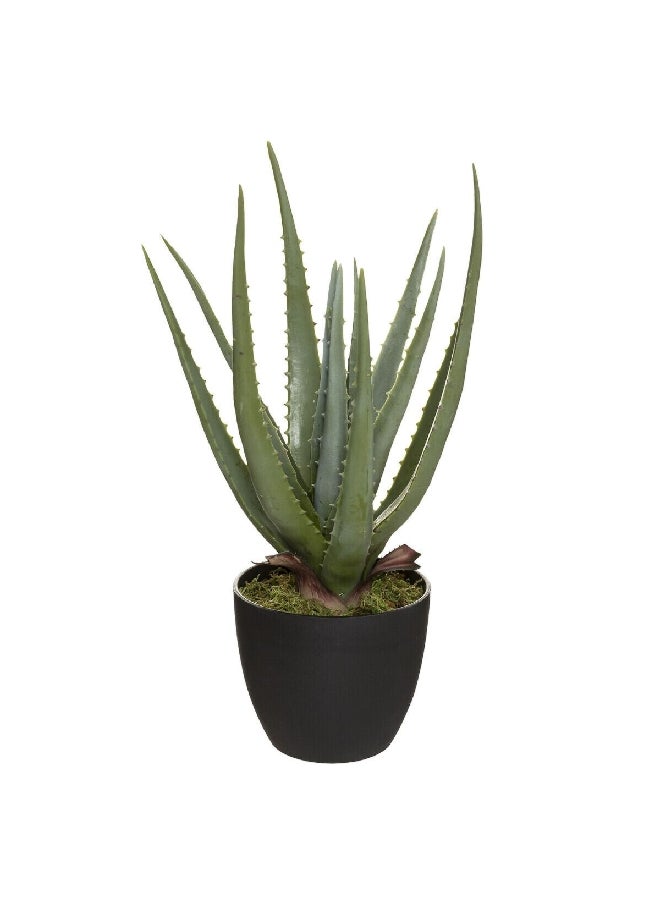 atmosphera Real Touch Easy Maintenance Realistic Looking Artificial Aloe Vera Plant with Pot Green and Black 44 cm 173017  - Image 1