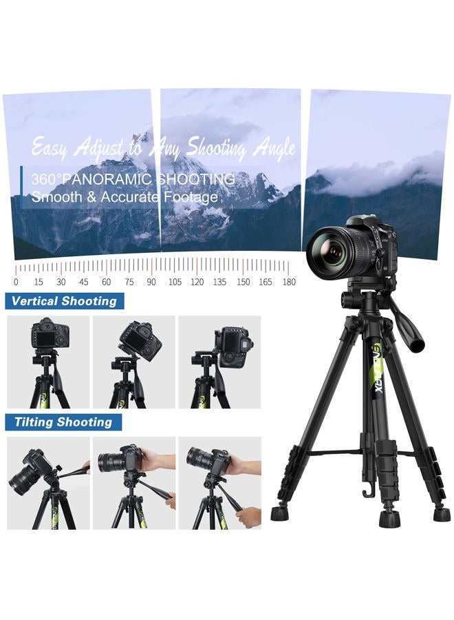 Endurax 74 Camera Tripod for Canon Nikon Sony, DSLR Tripod Stand Tall with Phone Mount and Carry Bag - Image 3