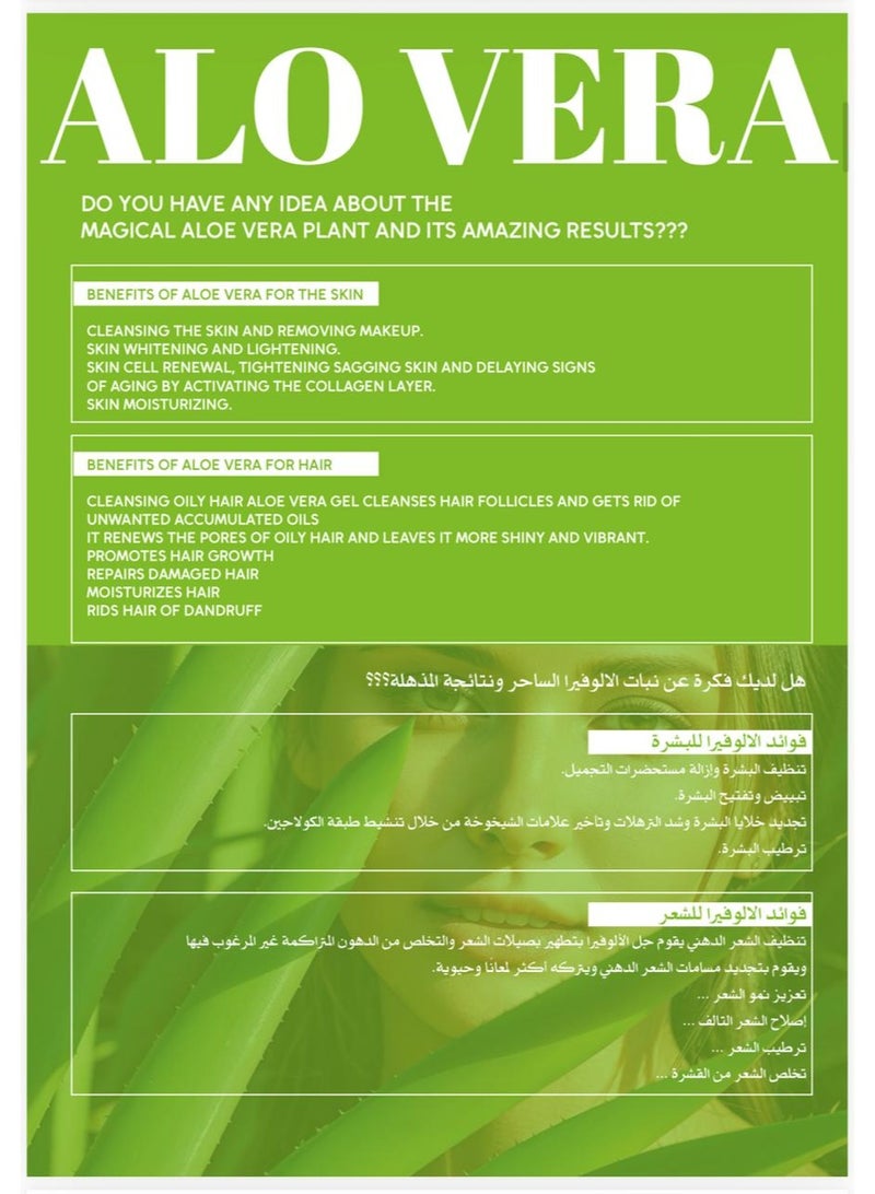 BBROSE Aloe Vera Sun Screen SPF 60 – Moisturizing, Water-Resistant Sunblock 100ml - Image 3