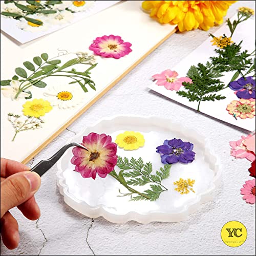 YellowCult Natural Real Dried & Pressed Flowers for Art Craft - Mixed, Multicolor for Soap, Candle, Scrapbooking, DIY, Resin Jewelry, Pendant - [Luxury Pink & Purple 30-35pcs] - Image 5