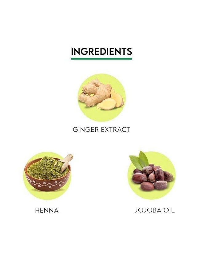 Jovees Herbal Mehandi/Henna Powder | With Amla, Shikakai & Brahmi Powder | For Extra Conditioning | Control Hair Fall & Repairs Damaged Hair 500G - Image 4