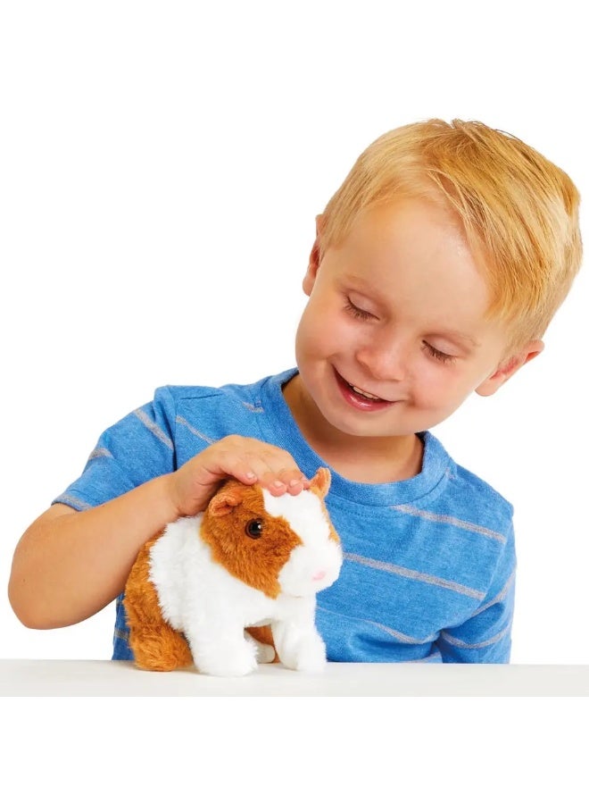 Addo Playful Guinea Pig 315-11174-B - Image 2