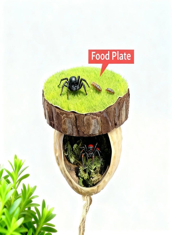 Diycoming Jumping Spider Hiding Habitat,Magnetic Spider Climbing Platform Accessory,Insect Hideouts Made of Natural Materials - Image 3