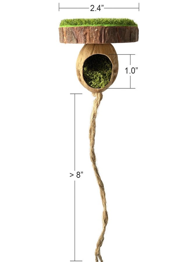 Diycoming Jumping Spider Hiding Habitat,Magnetic Spider Climbing Platform Accessory,Insect Hideouts Made of Natural Materials - Image 4