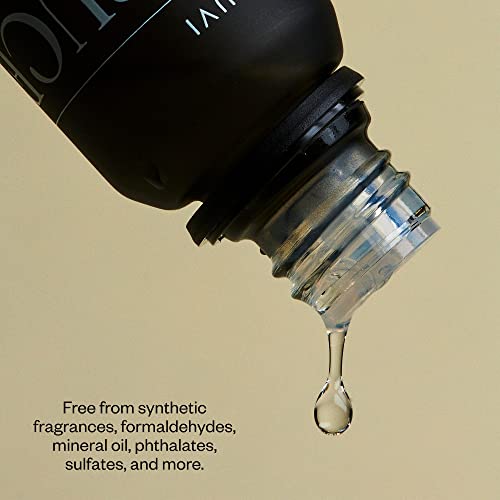Vitruvi Spruce, 100% Pure Premium Essential Oil (0.3 fl.oz) - Image 4