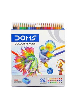 DOMS Dom's Soft Wood Colour Pencils with Free Sharpener, Art & Craft ...