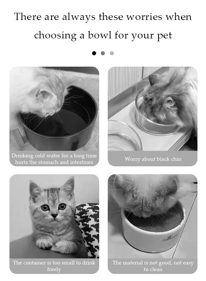 DUNISO Heated cat bowl, outdoor heated pet bowl with cat ceramic bowl, heated water and food bowl, hot pet bowl providing drinking water and hot food in winter, size M - Image 2