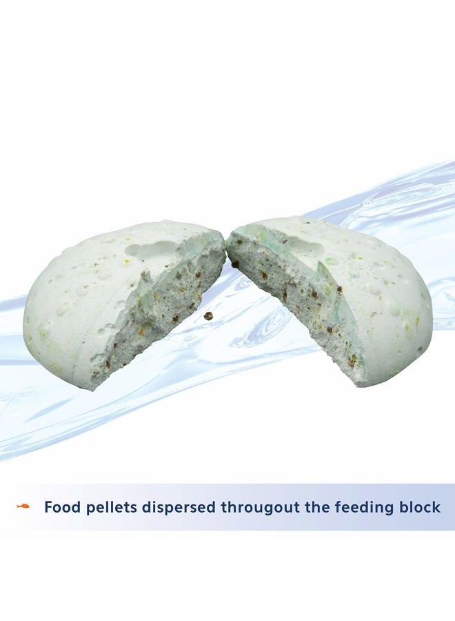 Aqueon Fish Food Feeder, 7-Day, 1-Pack - Image 5