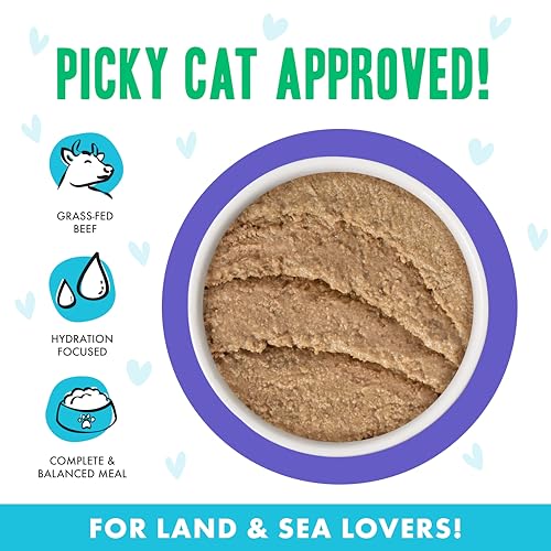 Weruva B.F.F. Play - Best Feline Friend Paté Lovers, Aw Yeah!, Beef & Tuna Tic TOC with Beef & Tuna, 5.5oz Can (Pack of 8) - Image 3
