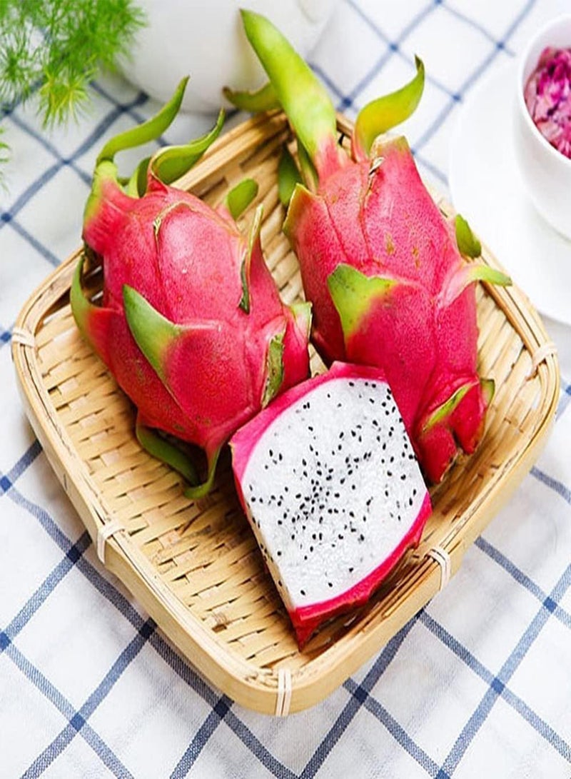GGOOT 50pcs Fresh Unique Shape Pitaya Seeds Red Oval with Prominent Scales Easy to Cultivate Dragon Fruit is Best Choice to Decorate Courtyard - Image 3