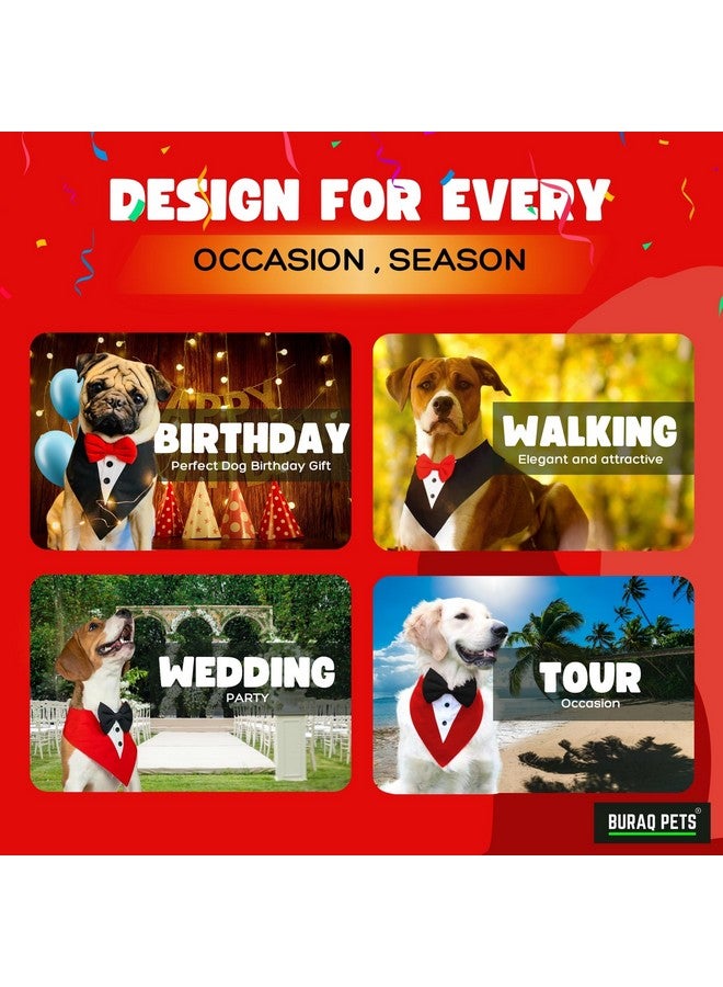Buraq Pets Dog Tuxedo Bandana, Ideal for Dog Birthday Decorations, Adorable and Comfortable Pet Apparel (XL - Red) - Image 2