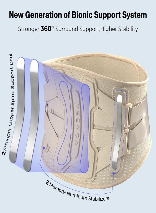 NEENCA Back Brace for Lower Back Pain Relief with Bionic Support System, Lumbar Support Belt for Women&Men with Lumbar Pad, Soft Breathable 3D Knit Fabric for Herniated Disc, Sciatica, Scoliosis -Skin - Image 3