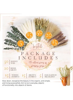 Generic 105 Pcs Dried Pampas Grass Dried Flowers Of Small Reeds Boho Natural Flowers Arrangements White Reed Bunny Tails for Home Decor Flower Living Room Balcony Wedding Party 