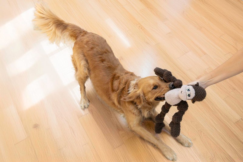 KONG Knots Oversized Dog Toy - Large/X-Large - with Inner Rope Skeleton (Monkey) - Image 3