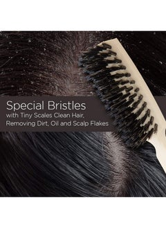 fuller brush Fuller Brush Lustre Professional Hairbrush - 6 Row Styling Hair Brush & Volumizer w/Natural Boar Bristle For Smoothing All Hair Types  - Image 5