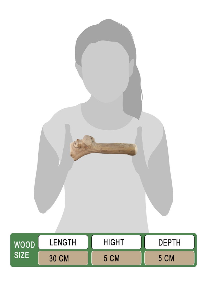 CHEWY BONE Large Dog Chew Wooden Stick Organic Indonesian Java wood for aggressive chewers For teething and Interactive play  - Image 2