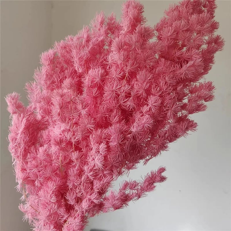 Bluejw Preserved Ming Fern Flower Bunch – 80g Dried Plants for Wedding, Home & Office Decor, Long-Lasting Natural Arrangement - Image 1