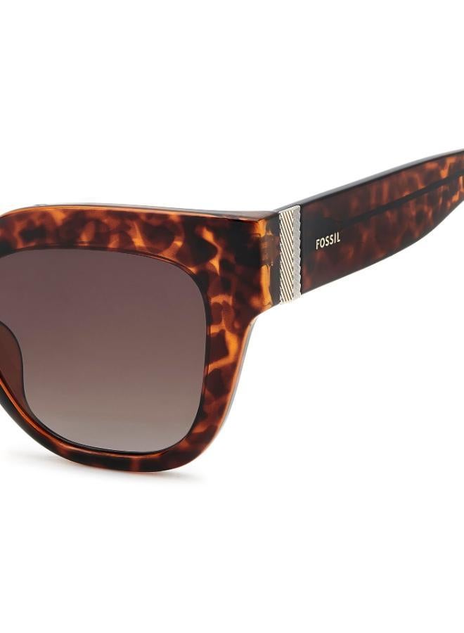 فوسيل إطارات نظارات عين القطة - Image 4