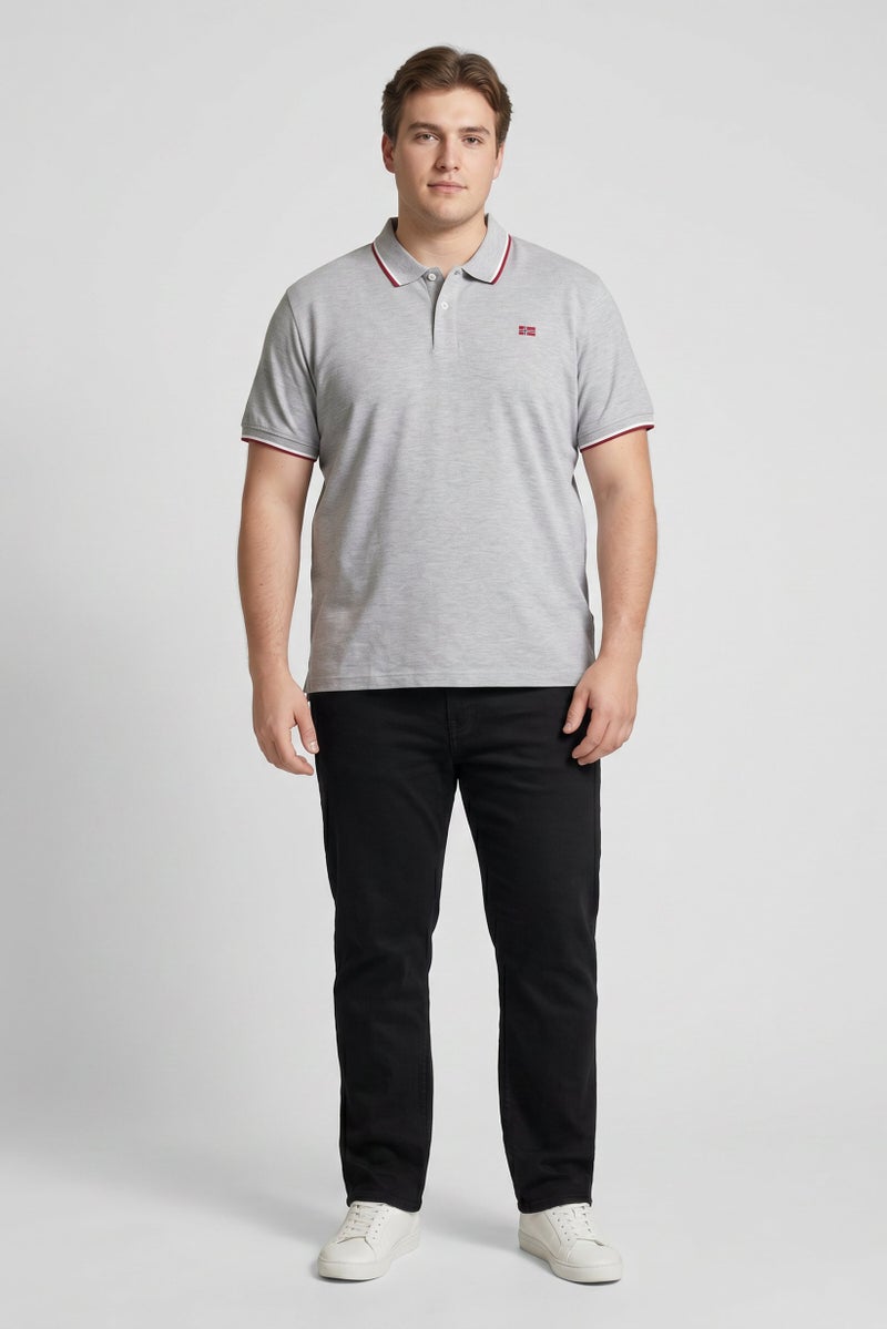 NorthLand Men Regular Fit Embroidered Short Sleeves Polo Shirt, Grey - Image 2