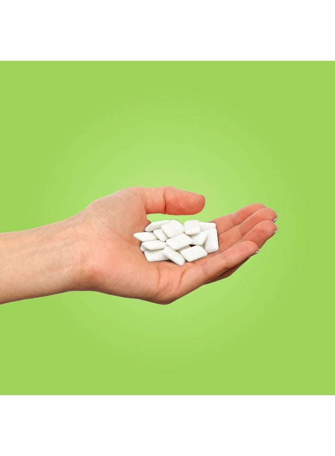 Pur Gum - Sugar Free Chewing Gum, Coolmint - 55 Pieces - Image 2