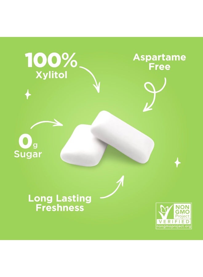 Pur Gum - Sugar Free Chewing Gum, Coolmint - 55 Pieces - Image 4