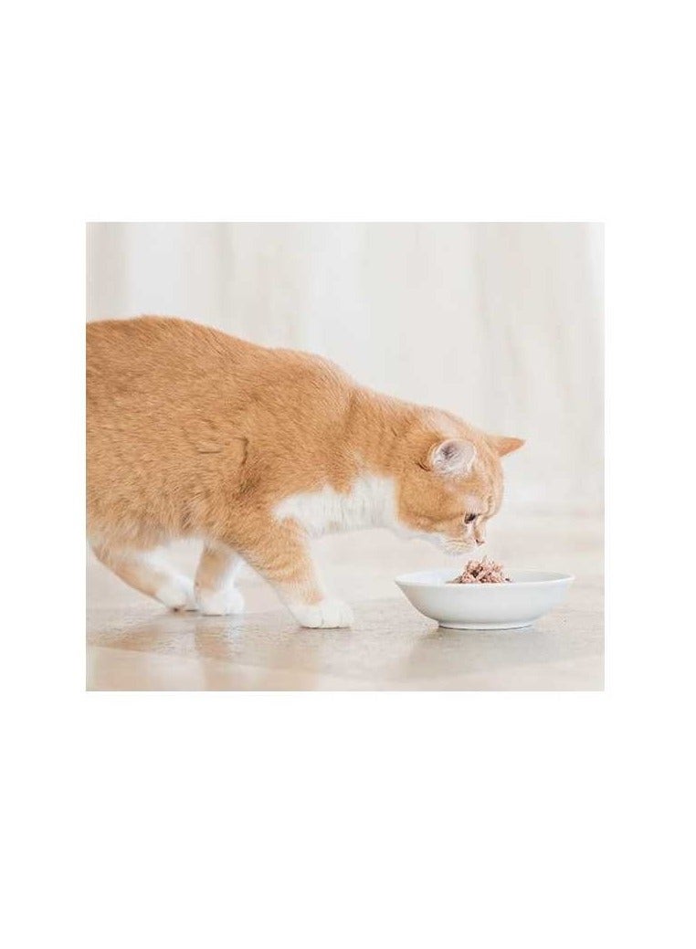 Schesir Multipack Can Tuna With Seabass Cat Wet Food 6X50g - Image 3