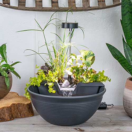 Aquascape Aquascape AquaGarden Tabletop Desktop Fountain Kit with Waterfall Meditation Relaxation Gray 