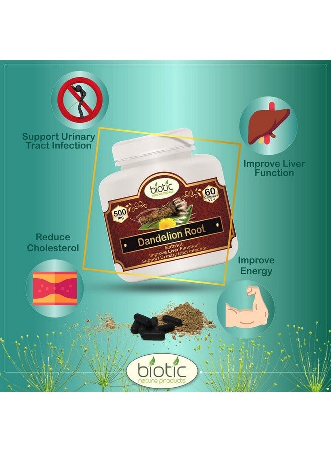 Biotic كبسولات جذر الهندباء الطبيعية 500 ملغ - 60 كبسولة نباتية - Image 3