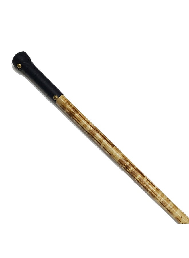 Aswan beech wood cane for men, brown striped sealer color - Image 3