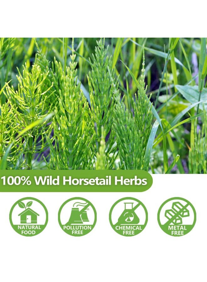 ULTHMOK Premium 100 Horsetail Tea Bags, Made with 100% Wild Natural Horse Tail Herb, For Hair & Nail, No Additives & Caffeine Free-Cola De Caballo Hierba. - Image 3