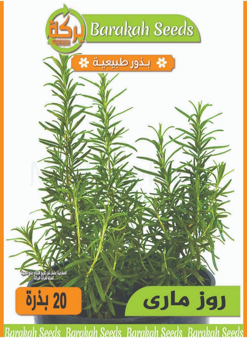 Generic High germination rate seeds - Rosemary 