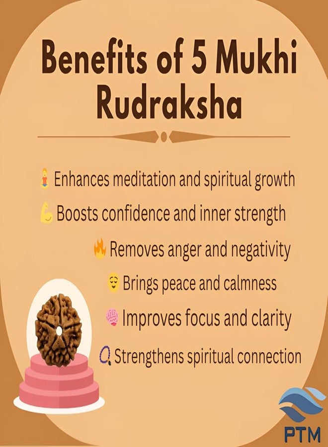 PTM Natural Certified 5 mukhi (five face) Astrological Original Nepali Rudraksha Beads with lab tested certificate - Image 4