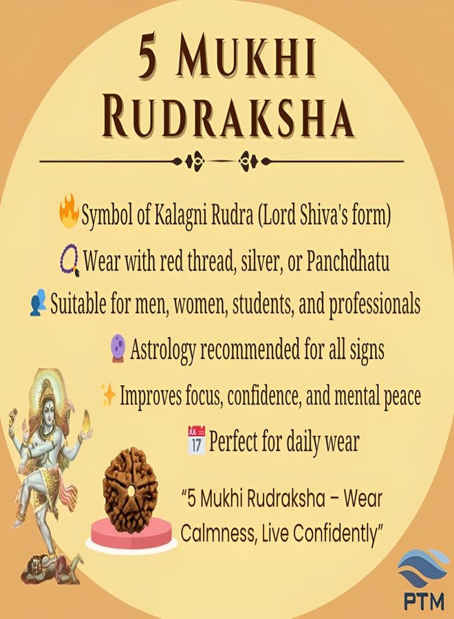 PTM Natural Certified 5 mukhi (five face) Astrological Original Nepali Rudraksha Beads with lab tested certificate - Image 3